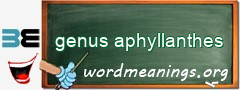 WordMeaning blackboard for genus aphyllanthes